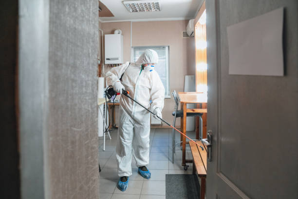 Professional Mold Inspection, Removal & Remediation in Point Of Rocks, MD