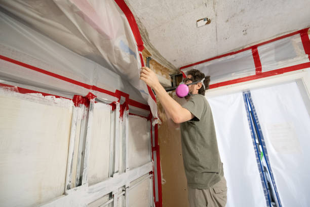 Mold Removal for HVAC Installations in Point Of Rocks, MD